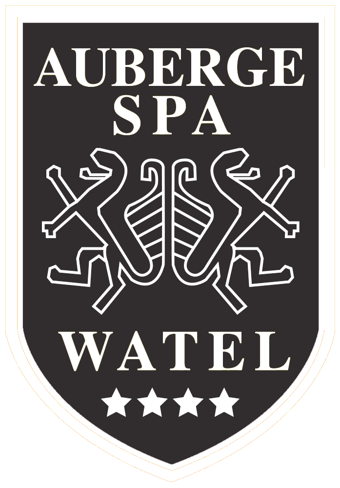 Hôtel Spa Watel